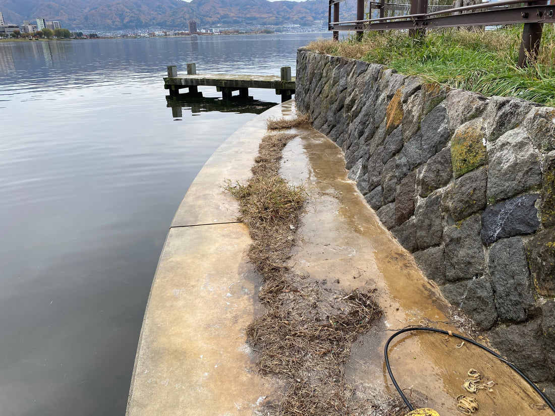 SCP通信　〜R7年11月号〜