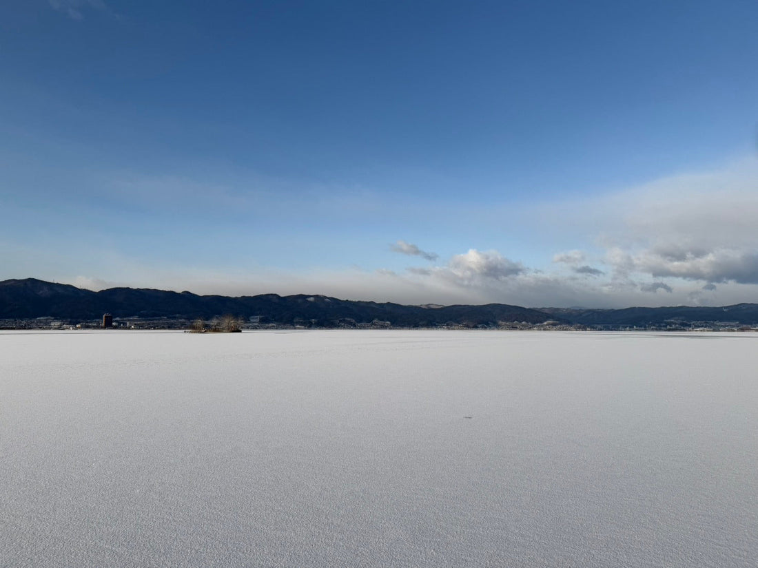 SCP通信　〜R8年1月号〜